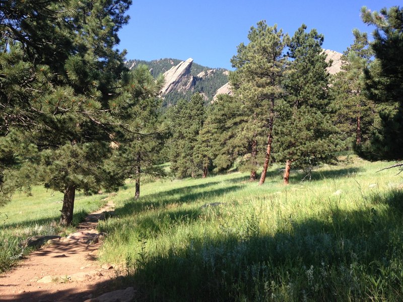 Beautiful views of the Flatirons from Bluebell Spur Trail.