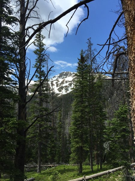 Views of Byers Peak through the trees along the trail.