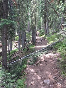 Heading up the trail near where the singletrack section starts