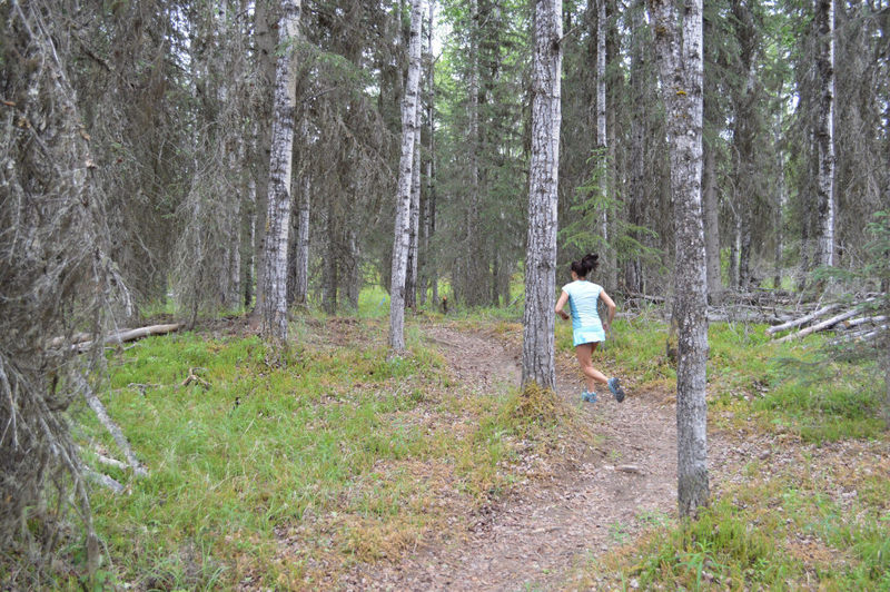 Running up into the second section Mosquito SingleTrack, really pretty forest in this area!