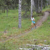 Coming down a hill cut right near the end of section 2, Mosquito SingleTrack.