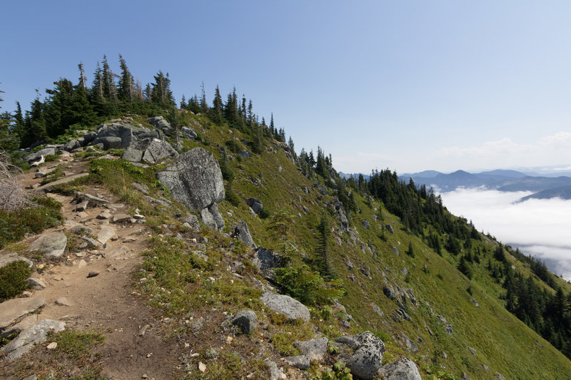 Trail to the summit.