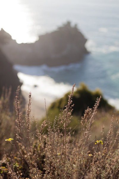 Big Sur!