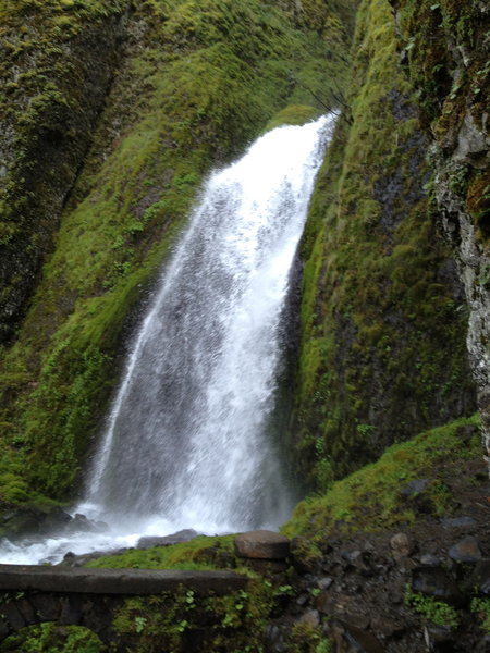 Lower Wahkeena Fall