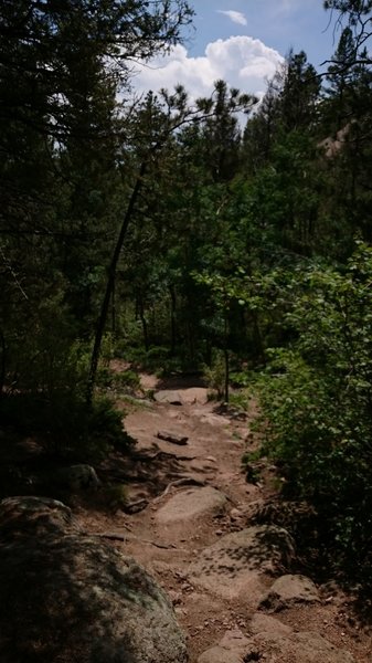 View of the path on the way down.