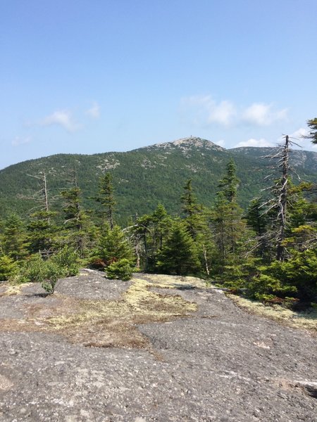 Photo from the Skyland Trail looking north toward the summit of Mt. Cardigan