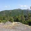 Photo from the Skyland Trail looking north toward the summit of Mt. Cardigan