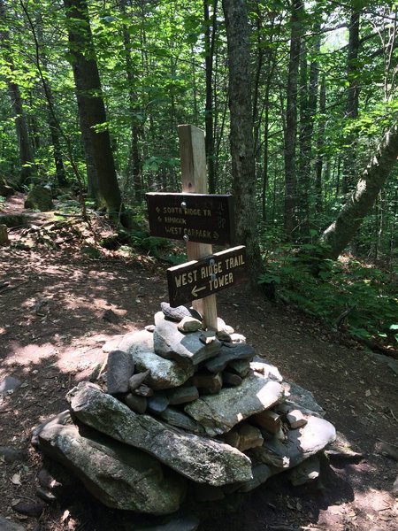 Junction between West and South Ridge Trails.