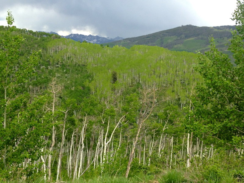 Looking east towards the Gore Range