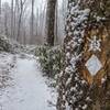 Valentine's Day run along the Sheltowee