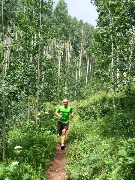 Bright green aspens!