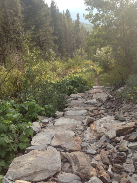 A 50' rocky section where a cliff has broken apart above the trail.