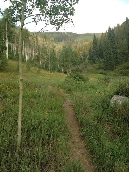 Time to descend along the creek