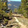 the last bit of easy trail before the descent turns considerably steeper and rockier.