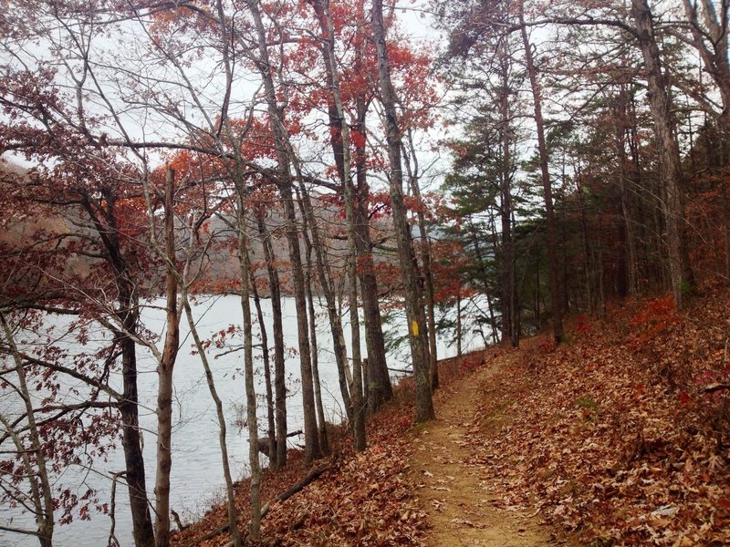 Mike Tygart Trail along the shore of Greenbo Lake