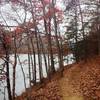 Mike Tygart Trail along the shore of Greenbo Lake