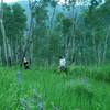 Hikers enjoying the July lupine flowers