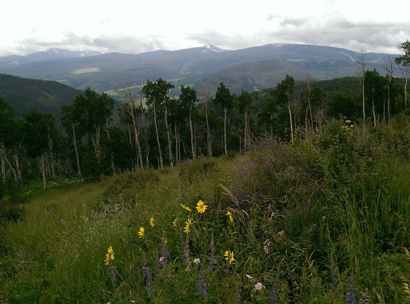 Wide open meadows allow nice panoramas of the surrounding snow-covered peaks