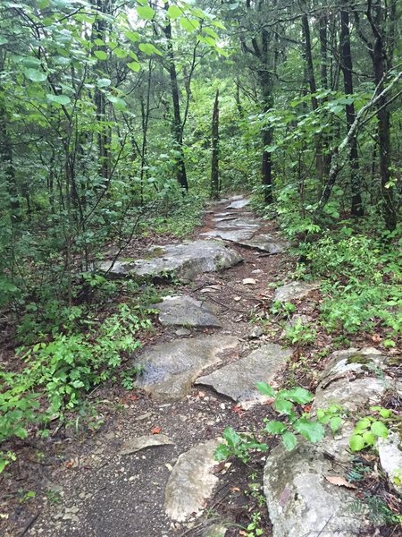 Flat rocks lead the way on the Devils Racetrack