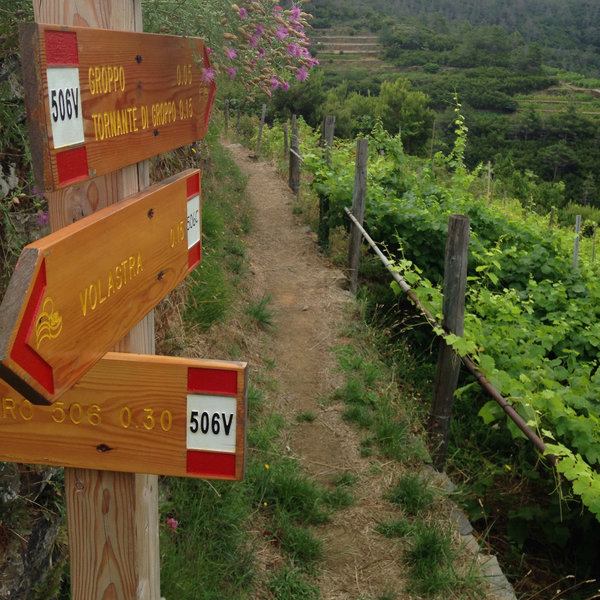 Trail marker near Groppo