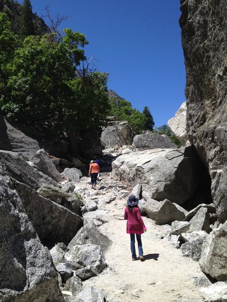 Zumwalt Meadow, Kings Canyon National Park