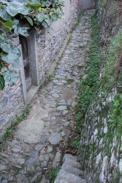 Old mule path leading out of Manarola