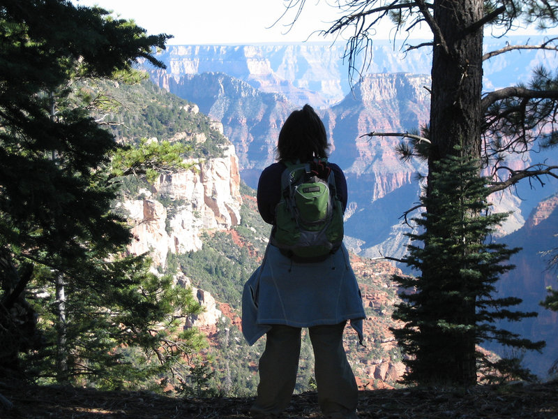 Widforss Trail (photo by Brandon Schauer)