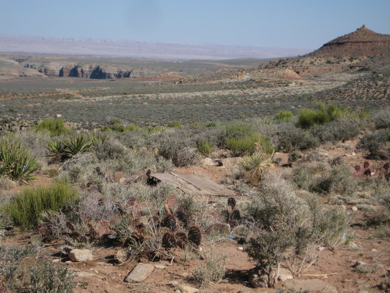 Navajo Mountain in the distance with painted desert