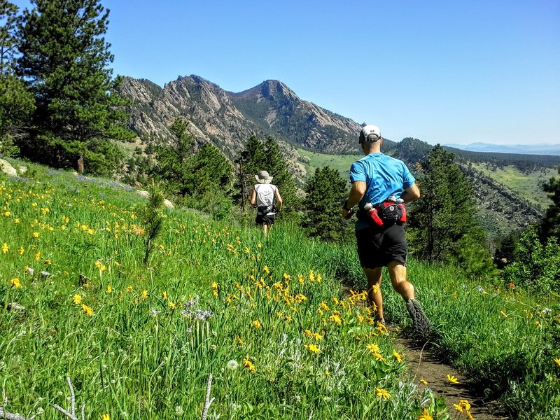 Trail runners enjoy the views of the valley below and abundant wildflowers in the Spring and Summer