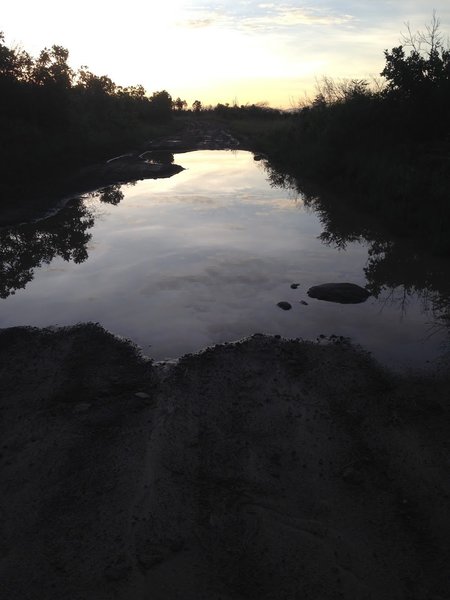 Rain gathered in a massive reflective puddle on Forest Road 181 (AKA American Springs Rd).