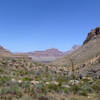 View from Cottonwood Creek (photo by Erik Cleves Kristensen)