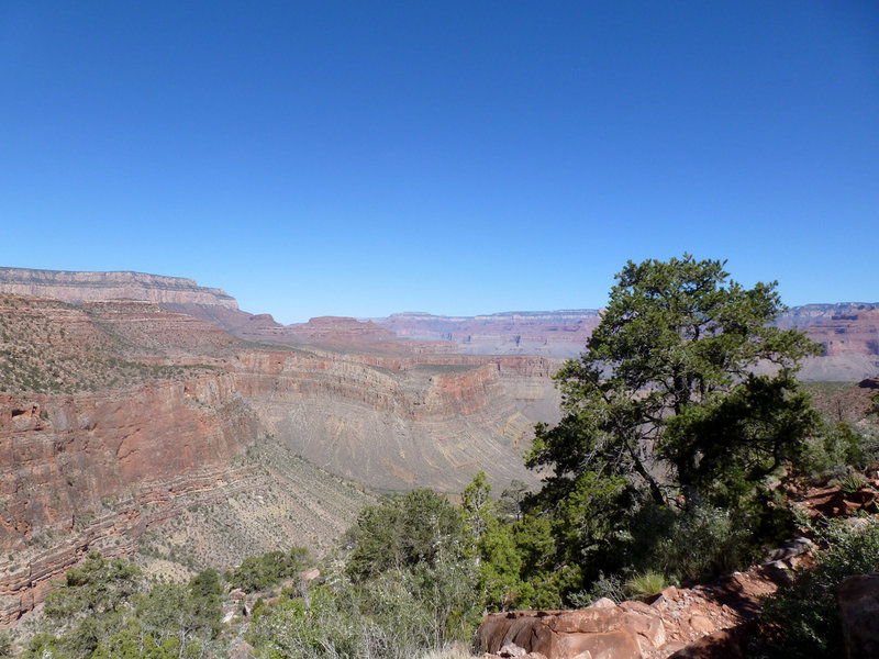 Looking towards Cottonwood Creek (photo by Erik Cleves Kristensen)