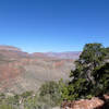 Looking towards Cottonwood Creek (photo by Erik Cleves Kristensen)