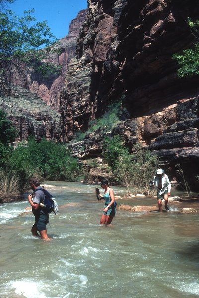 People hiking through Havasu Creek (photo by Richard M. Schreyer)