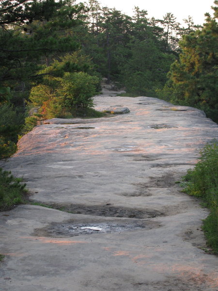 Top of Natural Bridge