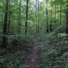 Courthouse Rock Trail