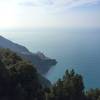 View of Manarola