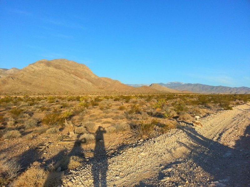 Looking towards Mt Charleston.