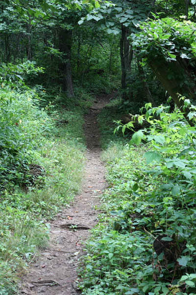 Woodys to Blood Mountain