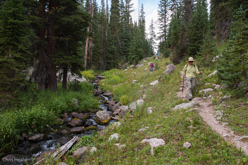 Trail to Haynach Lake (photo by Chris Heald)