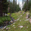 Trail to Haynach Lake (photo by Chris Heald)