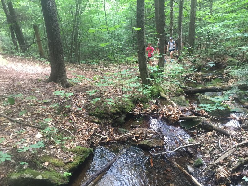 There are some cool water features along this trail.