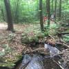 There are some cool water features along this trail.