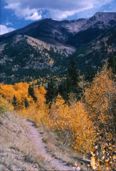 Looking up at Grassy Peak.