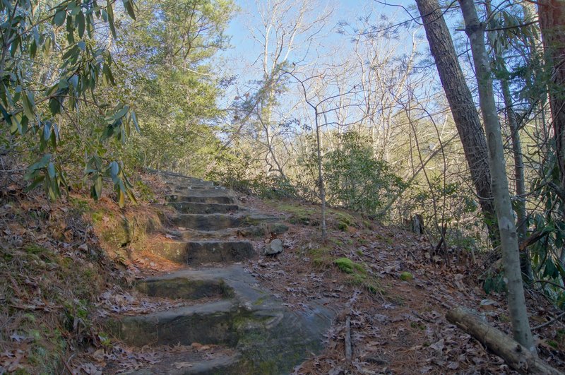 Rock Bridge Trail #207