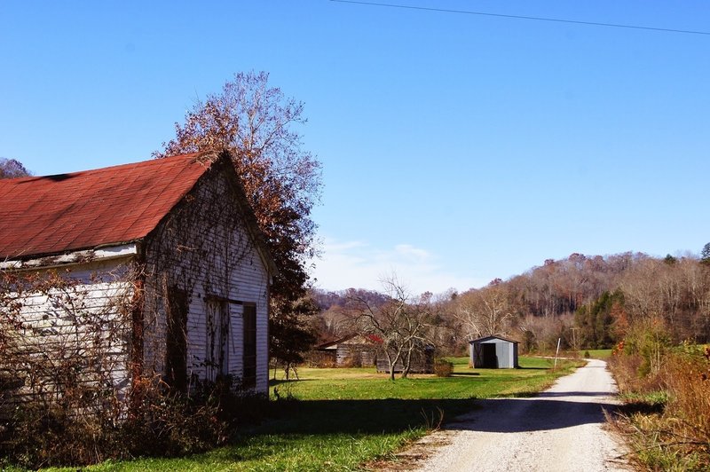 Near Dobson on the Dawkins Line