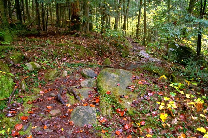 Rocky section of Cane Creek