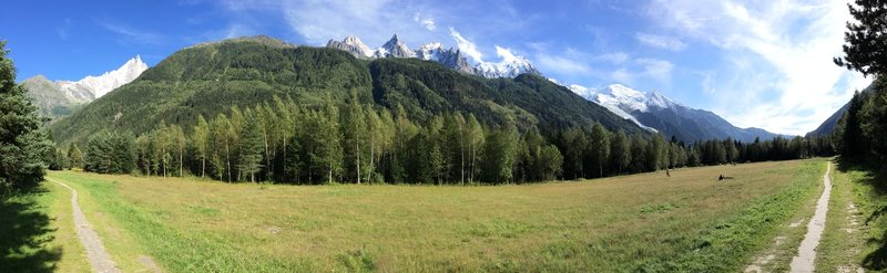 Chamonix field and moutaintops