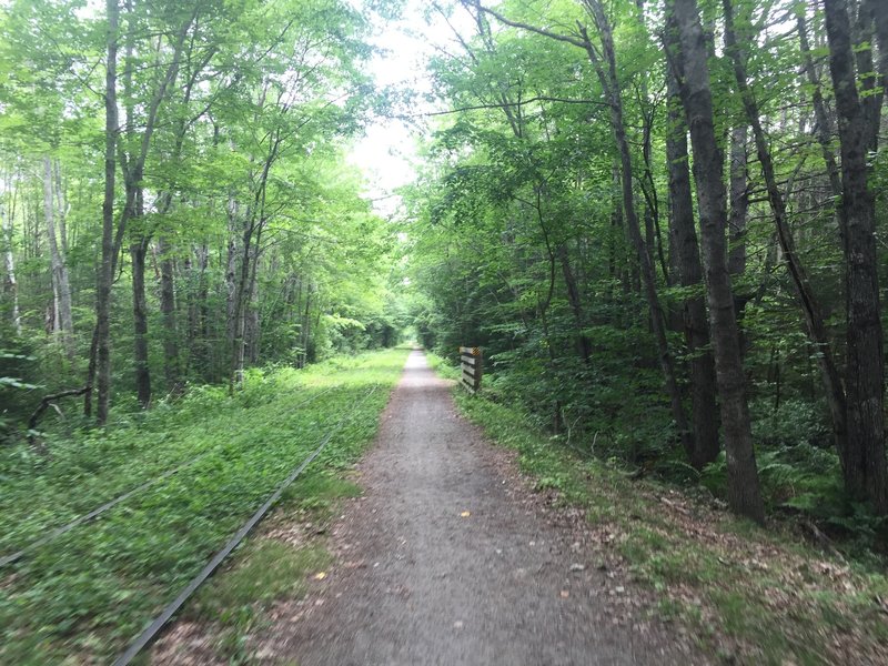 The wide open rail trail is nearly empty on weekdays.