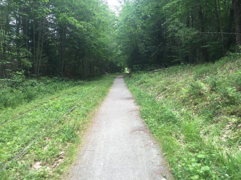 Cotton Valley Rail Trail.